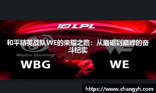 k1体育官方网站