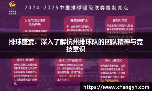 排球盛宴：深入了解杭州排球队的团队精神与竞技意识