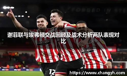 谢菲联与埃弗顿交战回顾及战术分析两队表现对比