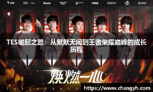 TES崛起之路：从默默无闻到王者荣耀巅峰的成长历程