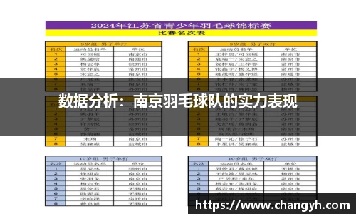 数据分析：南京羽毛球队的实力表现