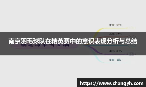 南京羽毛球队在精英赛中的意识表现分析与总结
