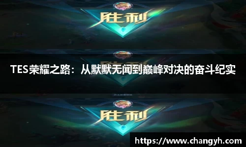 TES荣耀之路：从默默无闻到巅峰对决的奋斗纪实